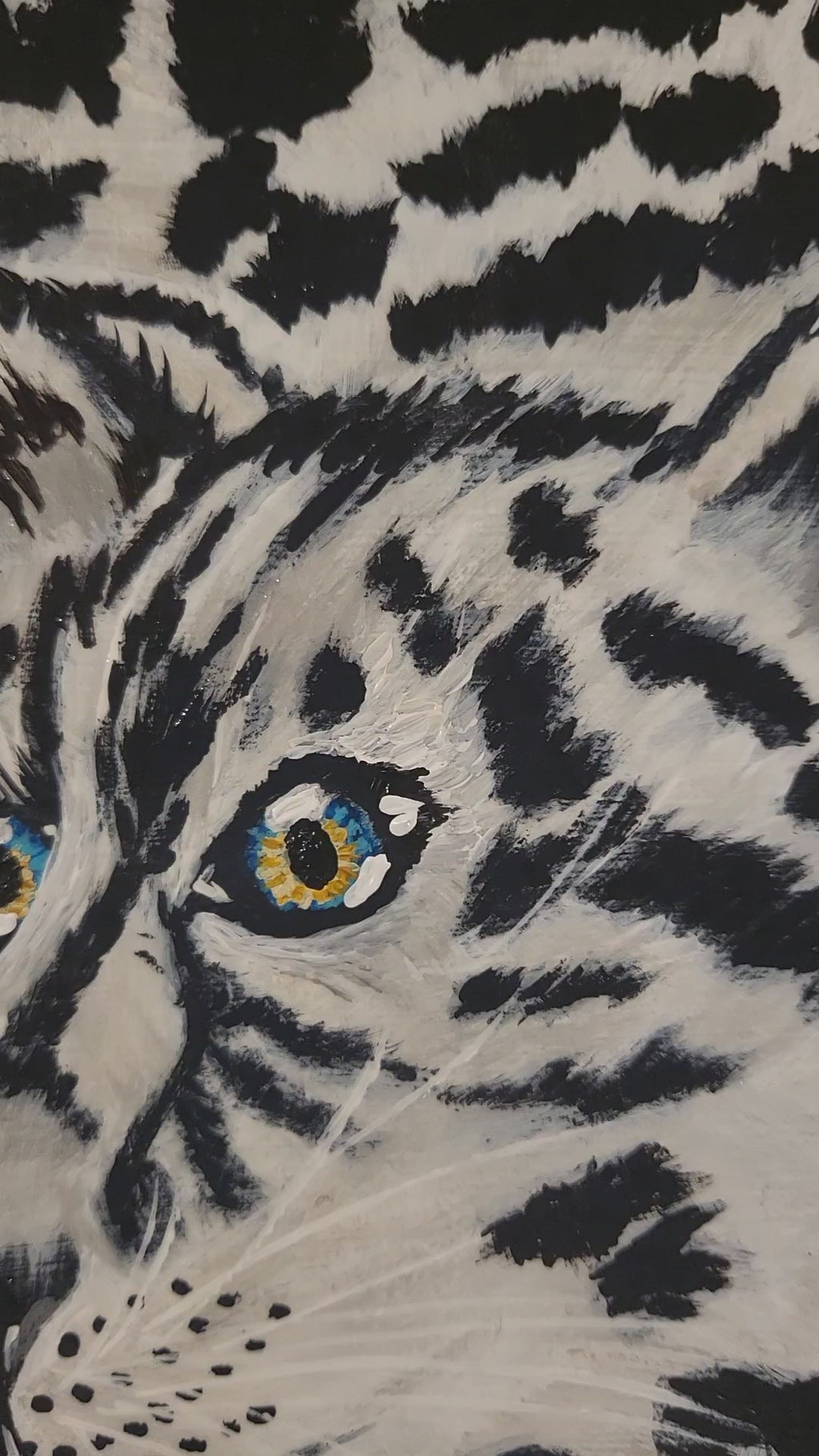 Snow Leopard Coming Soon
