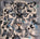 Snow Leopard 12x12 - Michelle Pashko Art