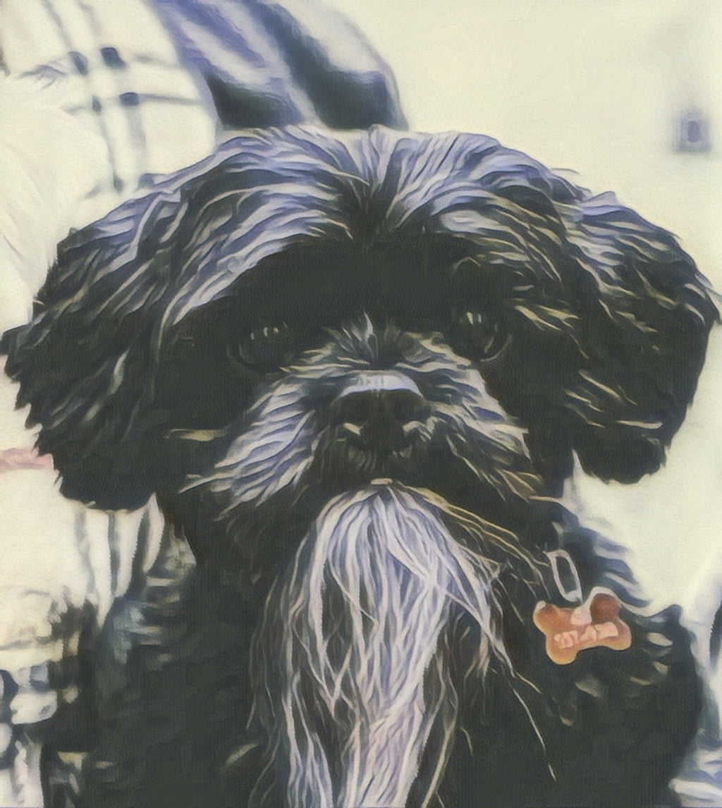Custom Pet Portraits and Memorial Artwork - Michelle Pashko Art