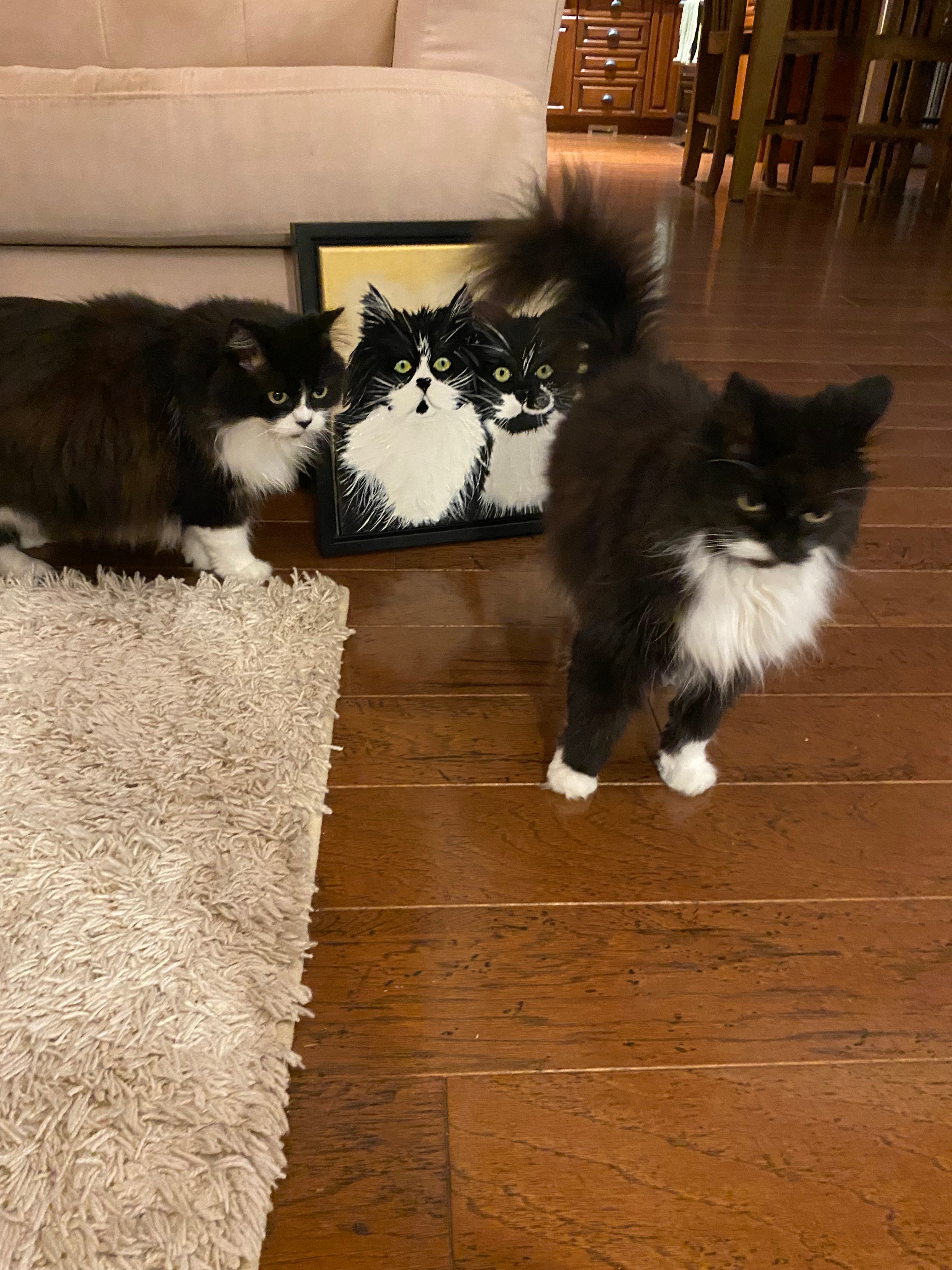 ♥️Pet Portraits Originals (inquire for pricing)